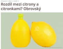VITALIA.CZ: Rozdíl mezi citrony a citronkami? Obrovský!